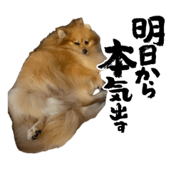 saaayaaa_20260516175144