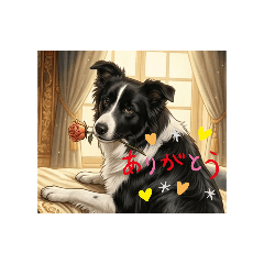 nori-san_20260516174917
