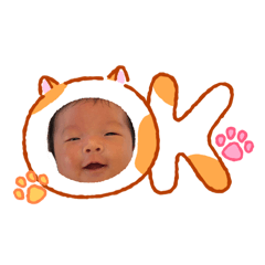 comyon_20260516175219