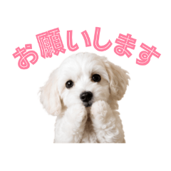 lu-&ray_20260516175509