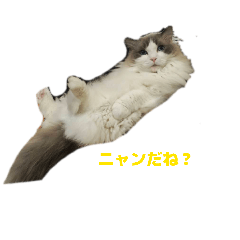 junds41243_20260516182355