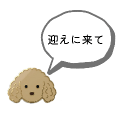 ki_20260516182438