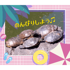 mimi_20260516191536