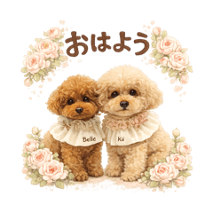 song june_20260516192208