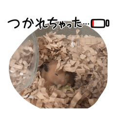 rurusyu_20260516195129