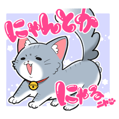 yuzucat0425