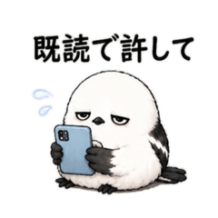 shiro yukimin_20260516194155