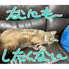 Yui_20260516203822