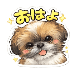 bibitan_20260516212752