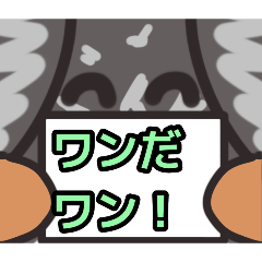 ibuki_20260520204100