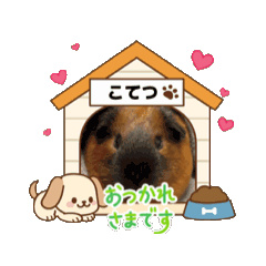 U-chan_20260520145809