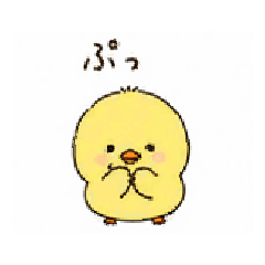 ken_20260520162729