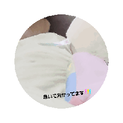 HARUTAKEMII_20260520213950