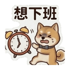 Kiddo的日常