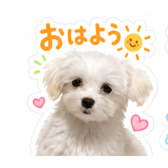 Michan_20260213