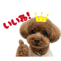 ひなにこ1030