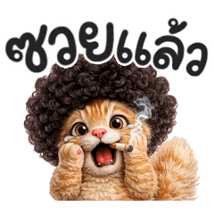 เจ๊ส้มหัวฟู