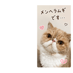 mugitan_20260516215715
