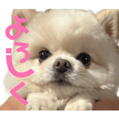 Hana_20260516214649