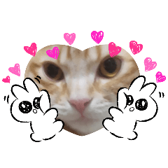 かとうむぎの日常