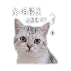 傲嬌のMoney