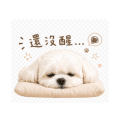 達董1 - 達董的上班生活