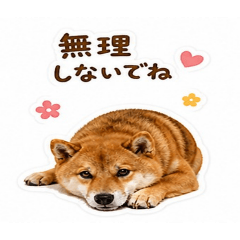 Taka_20260506155201