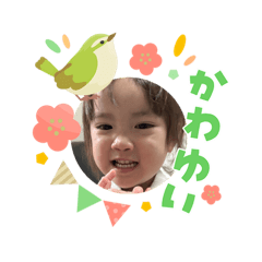 ajiaji_20260506171955