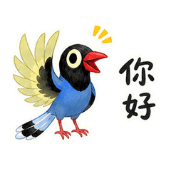 台灣藍鵲日常
