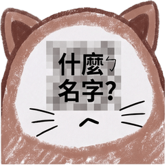 ㄅ級貓｜39新鮮菜鳥不是人