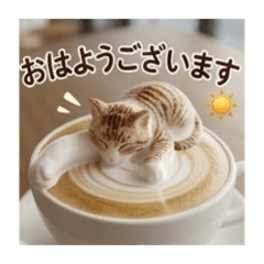 Daily Use: Puffy Latte Cats