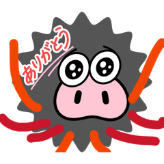 Kawaii takochan