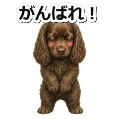 田野犬問候 1◇