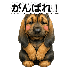 尋血獵犬問候 1★