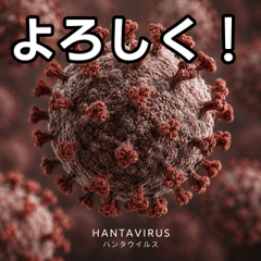 hantavirus