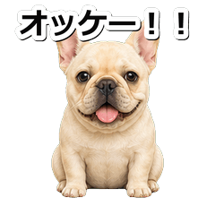 奶油法鬥犬問候 1♪