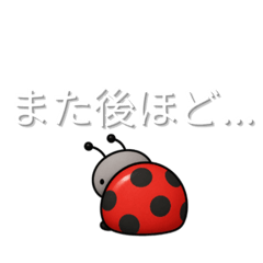 Nikora_20260516170409