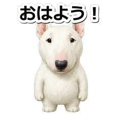 牛頭㹴犬問候 1※