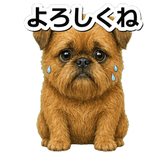 布魯塞爾格里芬犬問候 1◎