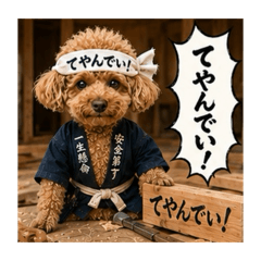 momomi_20260516185236