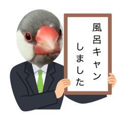marumaru_20260516184714