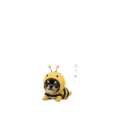 na7._20260516221426