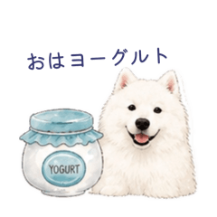 YM_20260516230134