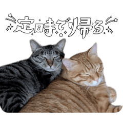 genki_20260516225513