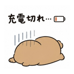 sugar_20260516230450