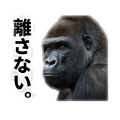Ricky_20260516230450
