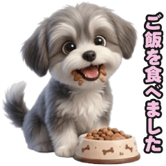 Maltipoo-chan 02
