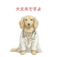 Working Dog Buddy