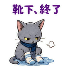 Rainy Day Russian Cat