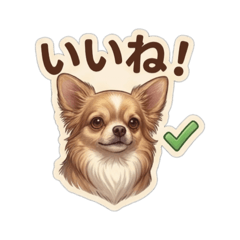 Everyday phrases from Rai the Chiweenie.